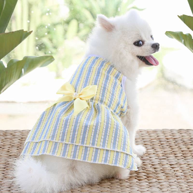 Yellow and Blue-Vertical Stripes